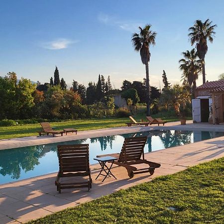 "Mas Tramontane "Chambres D'Hotes Et Studio Avec Piscine Dans Parc Arbore Ille-sur-Têt Exterior foto