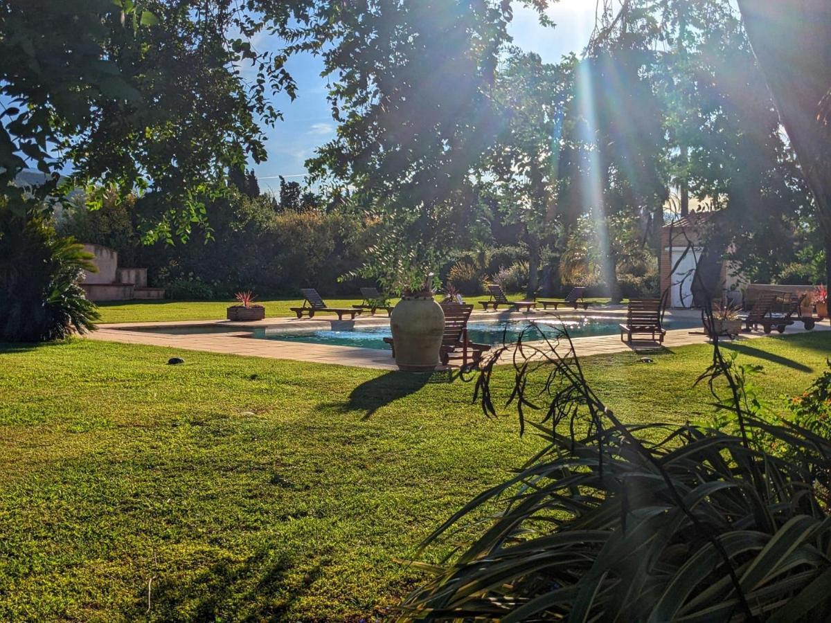 "Mas Tramontane "Chambres D'Hotes Et Studio Avec Piscine Dans Parc Arbore Ille-sur-Têt Exterior foto