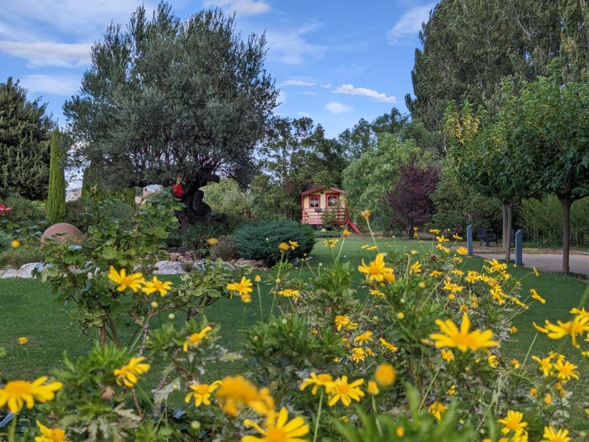 "Mas Tramontane "Chambres D'Hotes Et Studio Avec Piscine Dans Parc Arbore Ille-sur-Têt Exterior foto