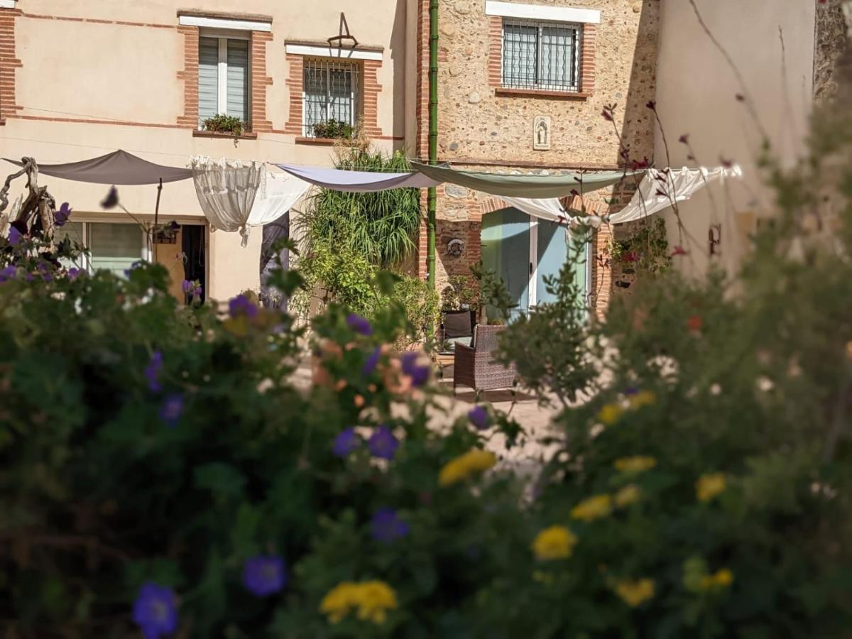 "Mas Tramontane "Chambres D'Hotes Et Studio Avec Piscine Dans Parc Arbore Ille-sur-Têt Exterior foto