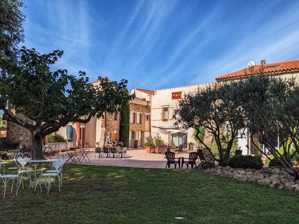 "Mas Tramontane "Chambres D'Hotes Et Studio Avec Piscine Dans Parc Arbore Ille-sur-Têt Exterior foto