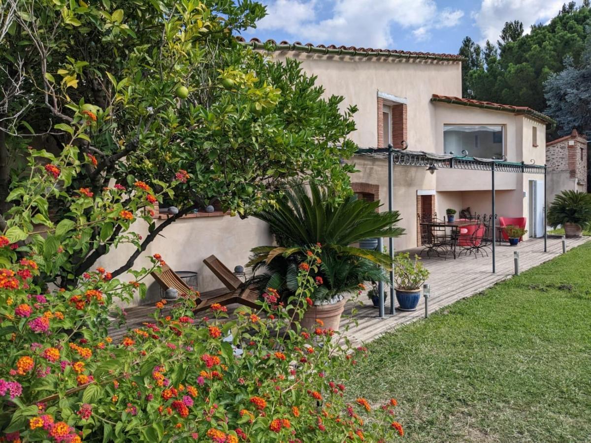 "Mas Tramontane "Chambres D'Hotes Et Studio Avec Piscine Dans Parc Arbore Ille-sur-Têt Exterior foto