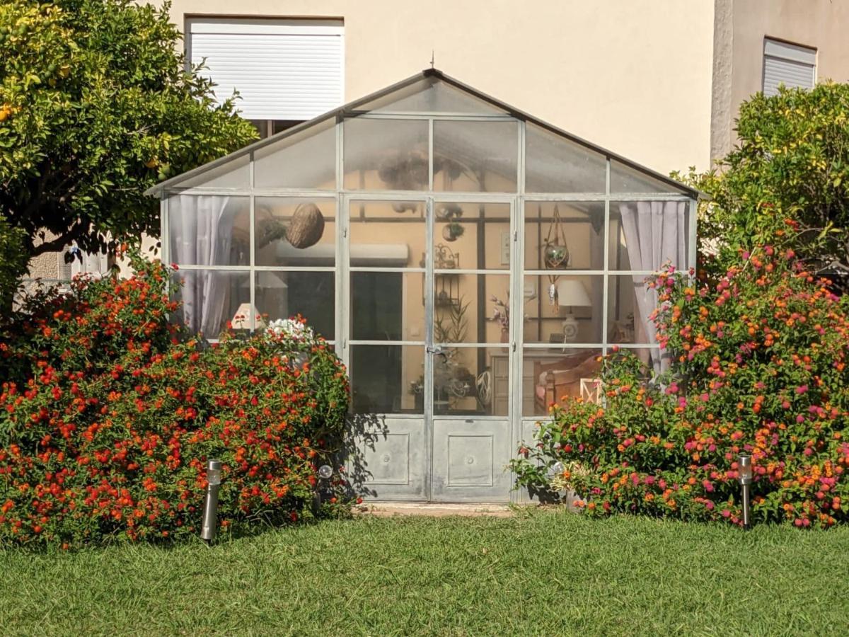 "Mas Tramontane "Chambres D'Hotes Et Studio Avec Piscine Dans Parc Arbore Ille-sur-Têt Exterior foto