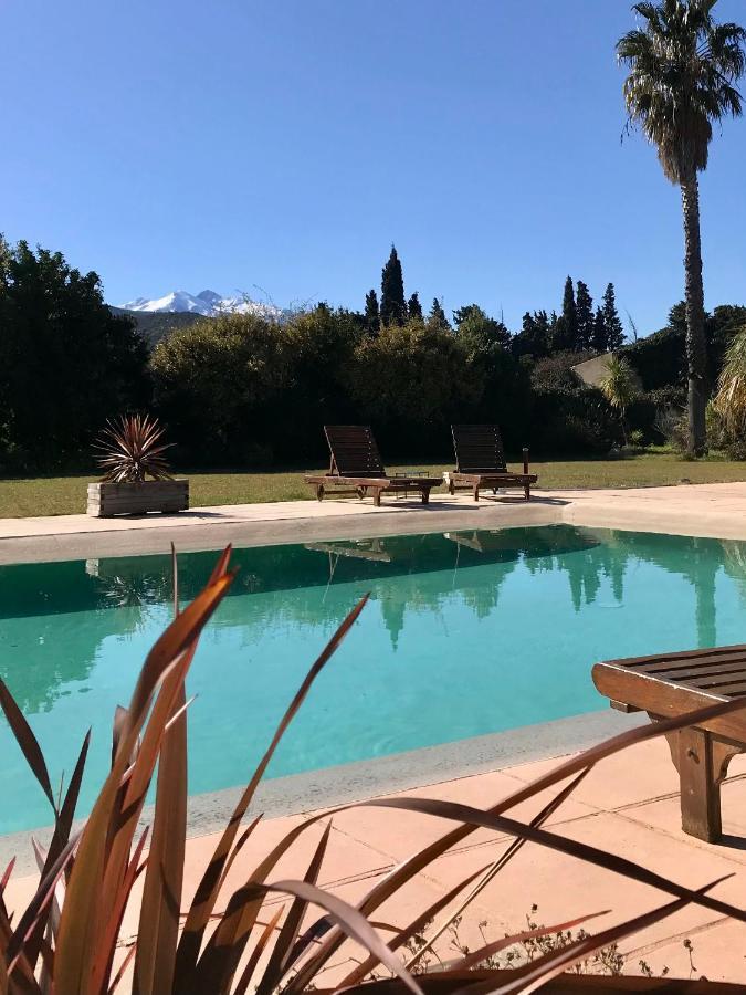 "Mas Tramontane "Chambres D'Hotes Et Studio Avec Piscine Dans Parc Arbore Ille-sur-Têt Exterior foto