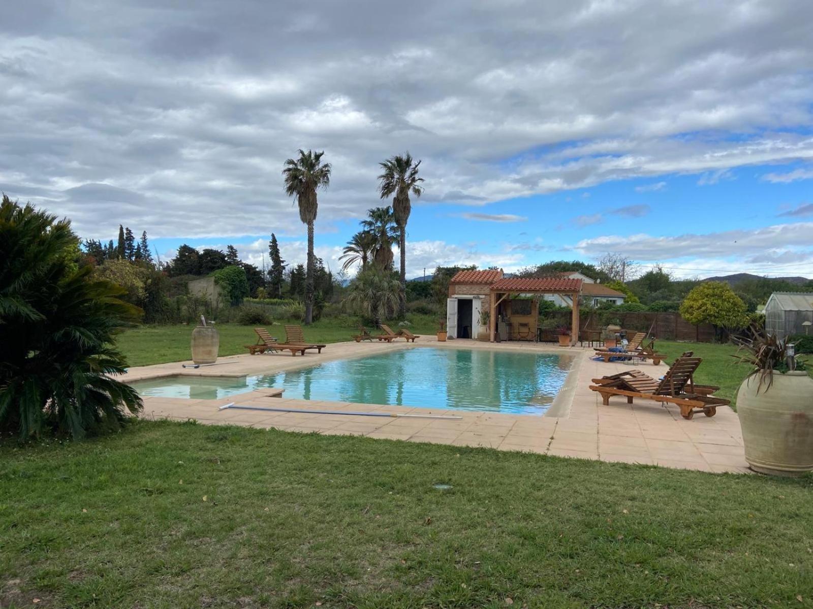 "Mas Tramontane "Chambres D'Hotes Et Studio Avec Piscine Dans Parc Arbore Ille-sur-Têt Exterior foto